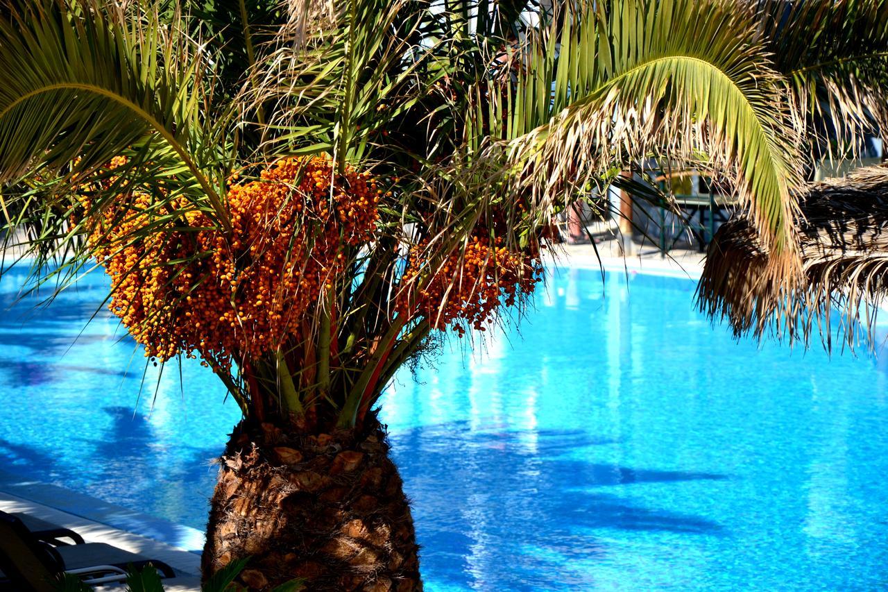Zephyros Hotel Камари Экстерьер фото